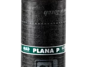 Plana P